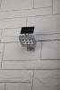 UT-00014343