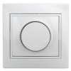 UT-00037380