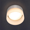 UT-00032352