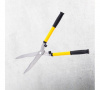 UT-00033811