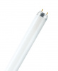 UT-00006784