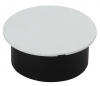 UT-00012019