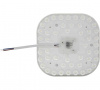 UT-00040955