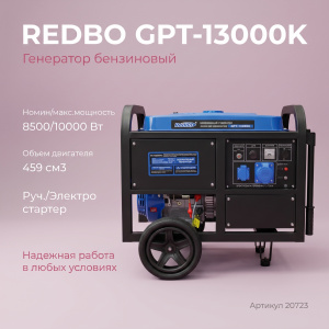 207231с1