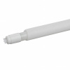 UT-00019666